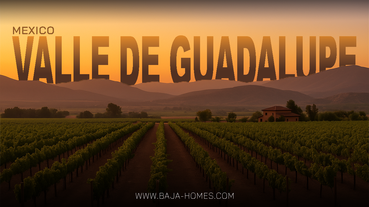 Valle De Guadalupe El Porvenir